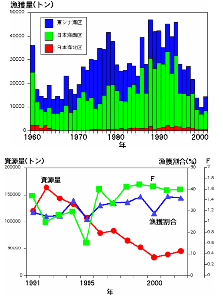 東シナ海 日本海のいわし類の現在 ウルメイワシの漁獲量と資源量の推移