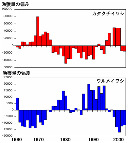 東シナ海 日本海のいわし類の現在 ウルメイワシとカタクチイワシの漁獲量の推移