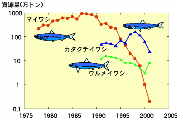 東シナ海 日本海のいわし類の現在 いわし類の資源量の推移