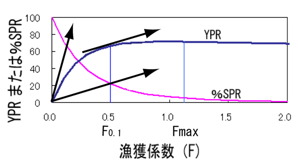 図4．漁獲係数とYPR曲線・％SPR曲線の関係およびF0.1とFmax